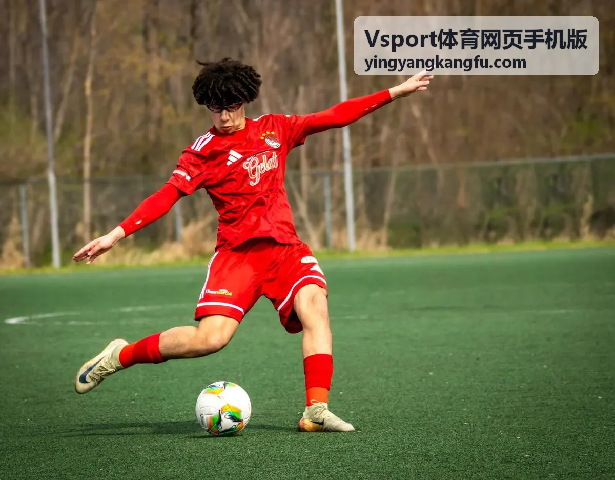 Vsport体育网页手机版票务与报名须知页面展示票种权益对比